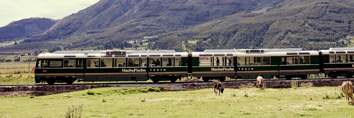 Train traversant la vall&eacute;e en direction du Machu Picchu