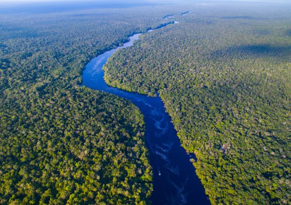 Image Puerto Maldonado ou Iquitos : quelle Amazonie choisir ?