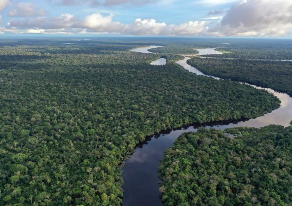 Image Puerto Maldonado ou Iquitos : quelle Amazonie choisir ?