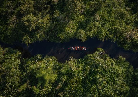 Image Que faire à Iquitos : comment découvrir l’Amazonie au Pérou ?