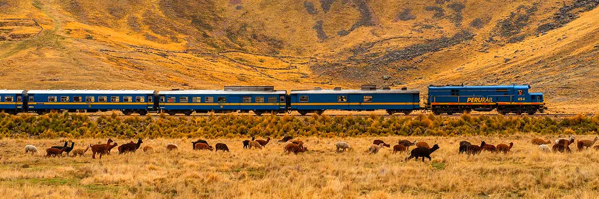 Train entre Puno et Cusco pr&egrave;s du lac Titicaca au P&eacute;rou