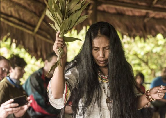 AMAZONIE