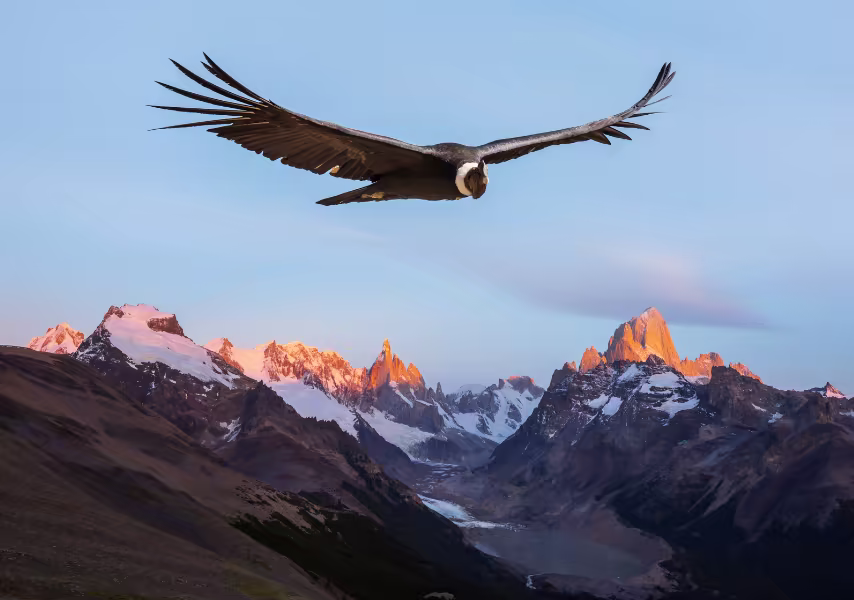 CROIX DE CONDORS