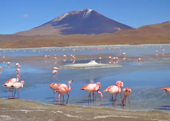 SALAR D'UYUNI
