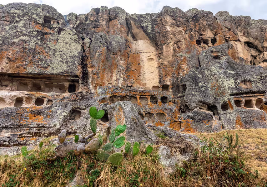 image 13