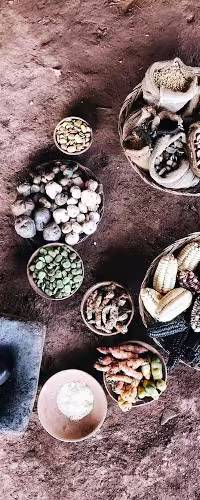 Gastronomie & Saveurs